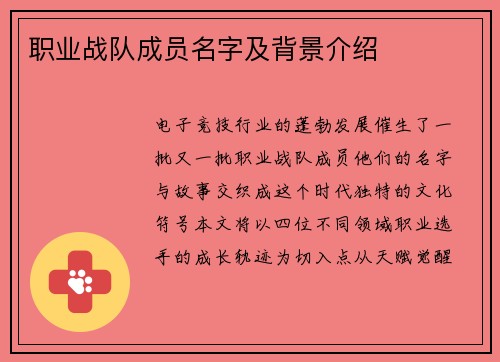 职业战队成员名字及背景介绍